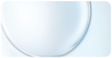 Technical Assessment